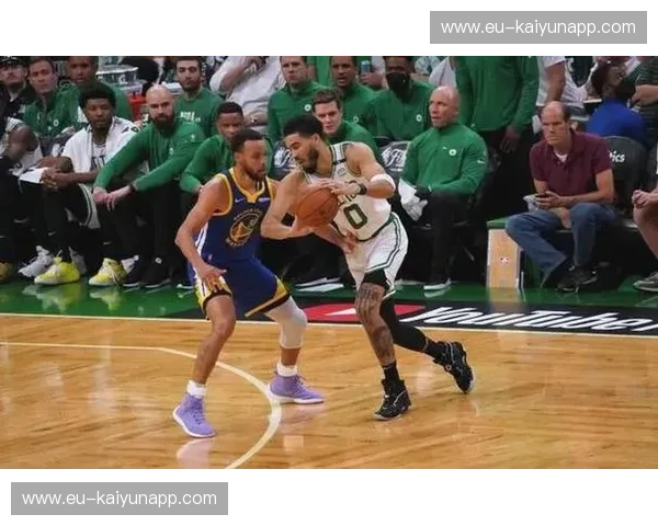 篮球评论：解密NBA赛事中的明星表现与团队协作